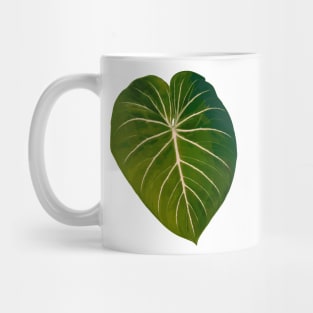 Philodendron gloriosum radiante Mug